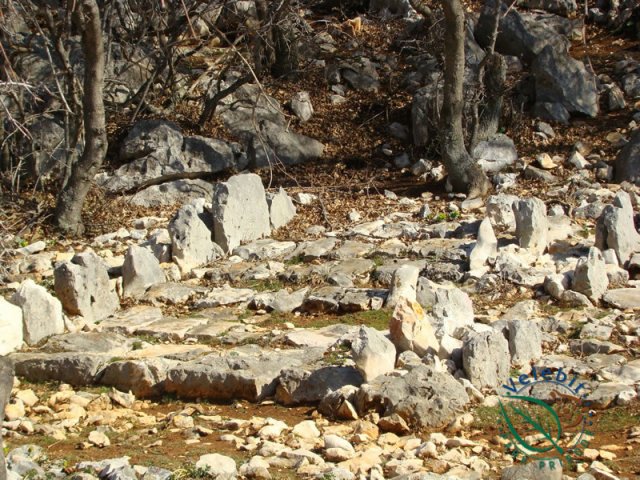 Naturpark Velebit 19